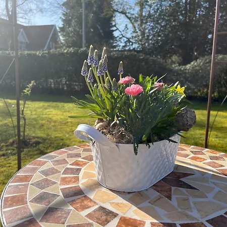 Appartement Waldnest Am Varel