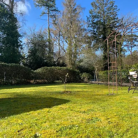 Appartement Waldnest Am