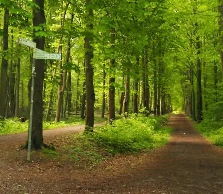 Waldnest Am *